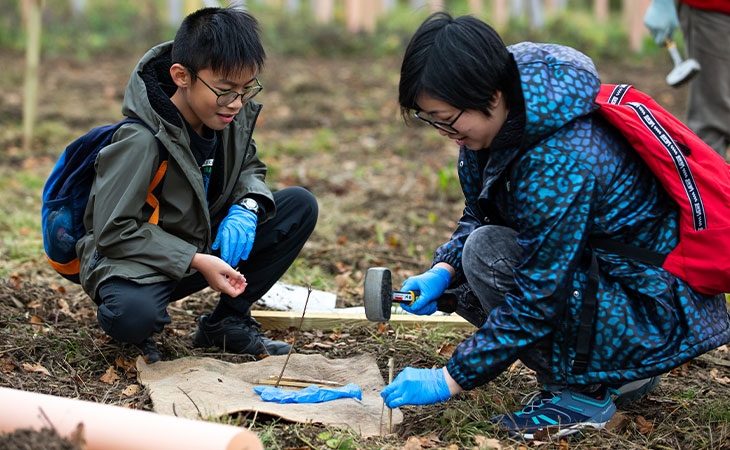 Silk Wood Community Planting Project