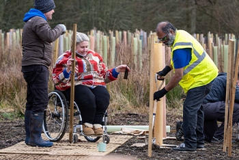 Planting 6,700 trees with the help of community groups