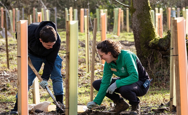 Silk Wood Community Planting Project