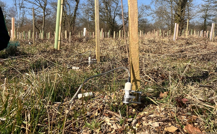 Tree growth monitoring station install