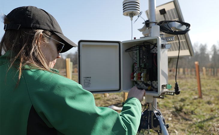Tree growth monitoring station install
