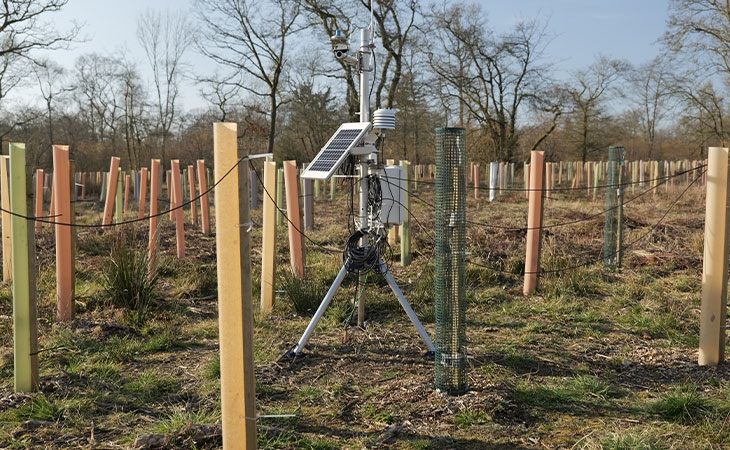 Tree growth monitoring station install