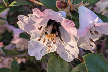 Spring in Full Swing