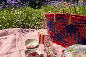 Your Picture-Perfect Picnic Awaits!