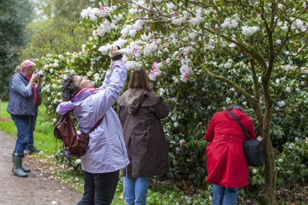 Look, then look again