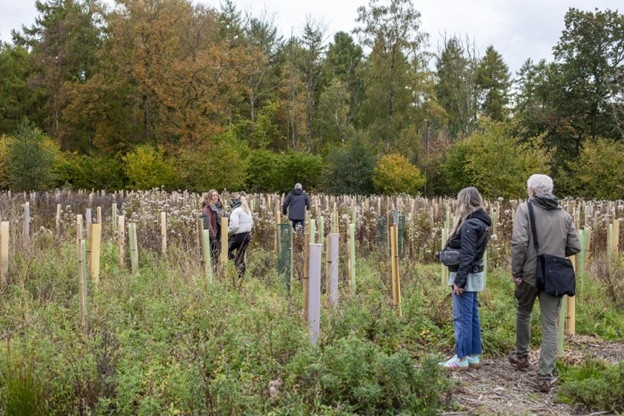 The young trees at Silk Wood being nurtured and thriving together, symbolising the importance of care and connection.