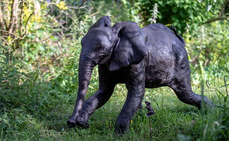 Cotswold Sculpture Park