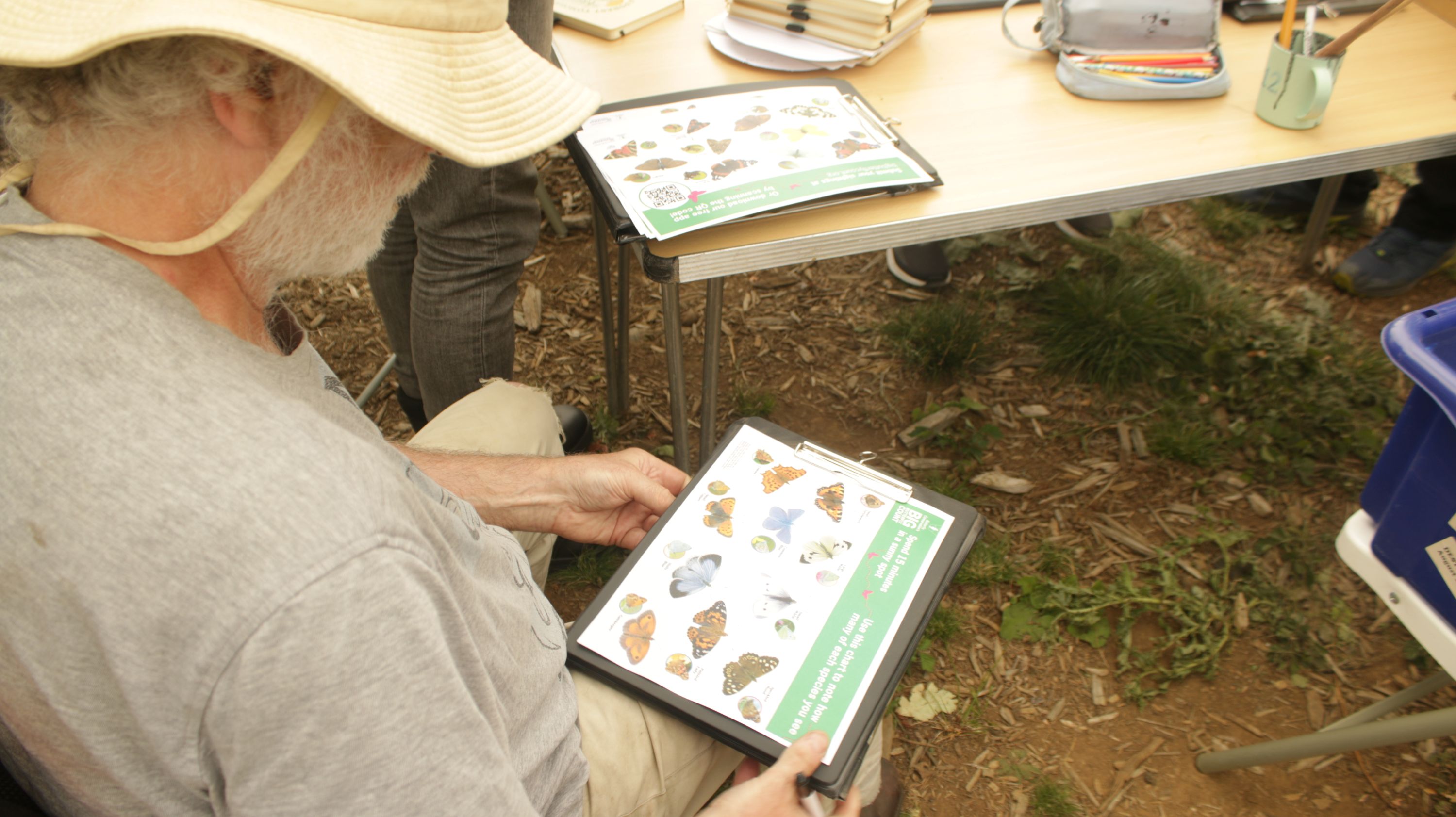 Person using species ID Guide to identify butterflies