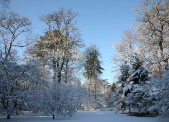 What's on in December