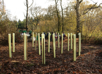 Nest Planting: A Fresh Approach for the Final Tree Planting Season