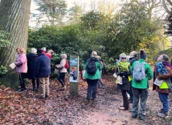 Connecting Carers with Nature: How Your Support Makes a Difference