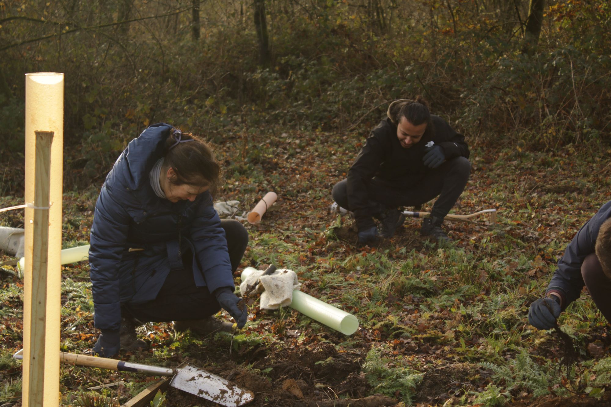 Winter planting conditions in Bristol