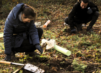 Why Winter Is the Best Time to Plant Trees 